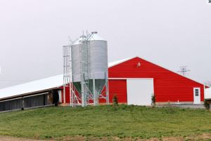 Poulet en acier préfabriqué