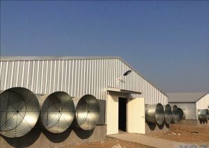 Porcherie à structure métallique