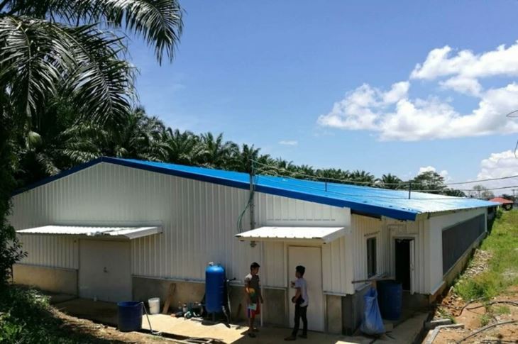 Steel Frame Structure Hen and Chicken Farm Shed Construction Steel Frame Structure Hen and Chicken Farm Shed Construction