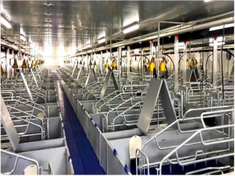 Hangar de mise bas préfabriqué en Australie